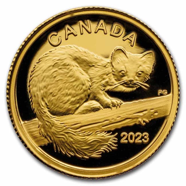 2023 Canada Proof Gold $10 The Curious Marten product image